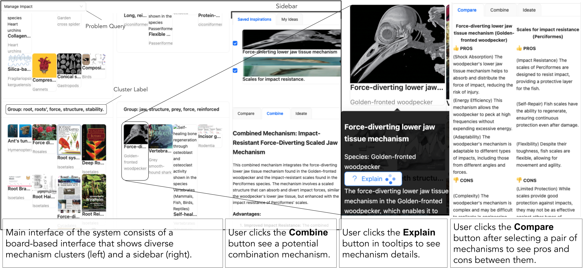 BioSpark main interface featuring a board of biological analogical mechanism images with four interaction features: Explain, Compare, Combine, and Critique.